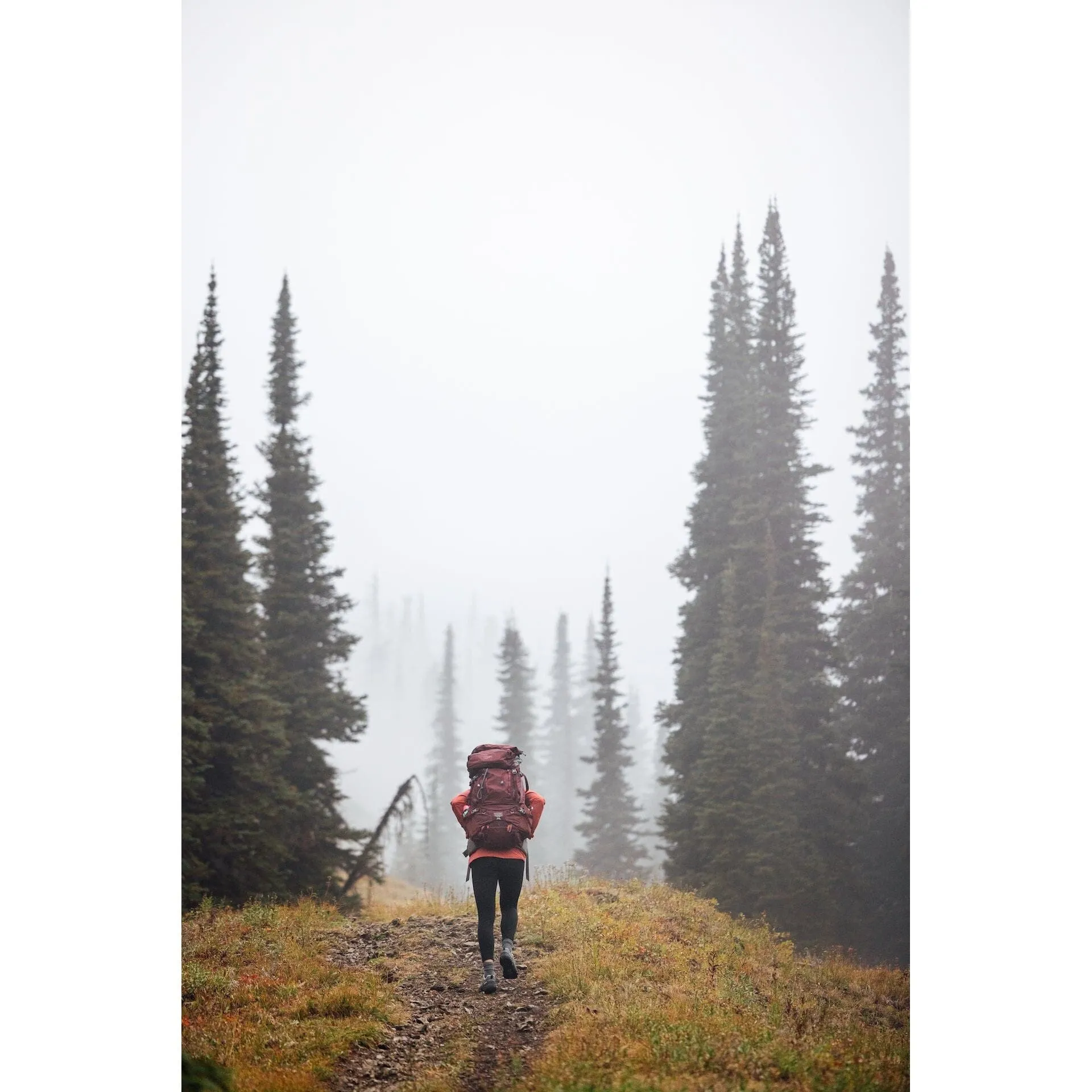 OBOZ SAWTOOTH X LOW WOMEN'S MEDIUM AND WIDE - FINAL SALE!